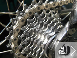 bicicleta
